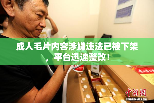成人毛片内容涉嫌违法已被下架，平台迅速整改！