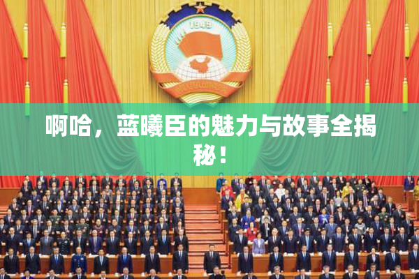 啊哈，蓝曦臣的魅力与故事全揭秘！