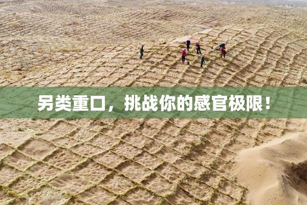 另类重口，挑战你的感官极限！