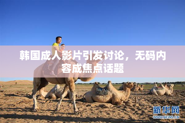 韩国成人影片引发讨论，无码内容成焦点话题