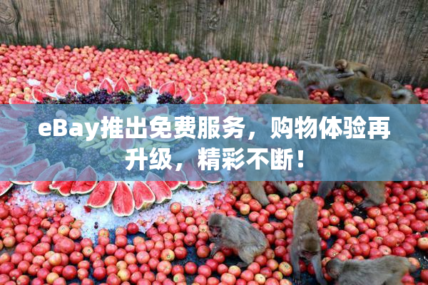 eBay推出免费服务，购物体验再升级，精彩不断！