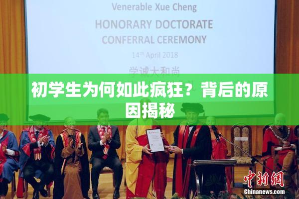 初学生为何如此疯狂？背后的原因揭秘