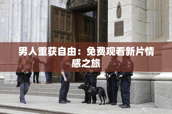 男人重获自由：免费观看新片情感之旅
