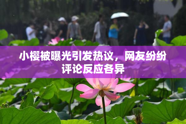 小樱被曝光引发热议，网友纷纷评论反应各异