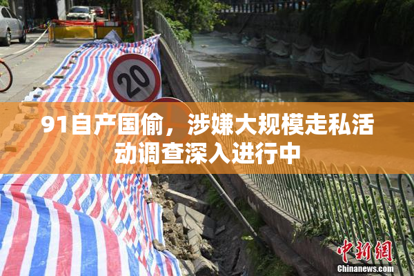 91自产国偷，涉嫌大规模走私活动调查深入进行中