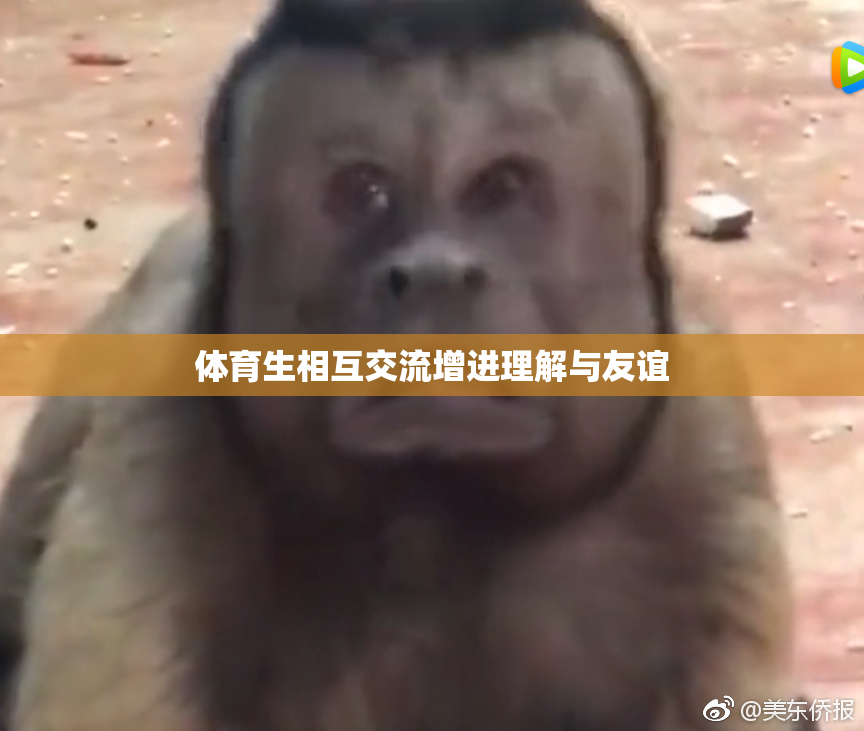 体育生相互交流增进理解与友谊