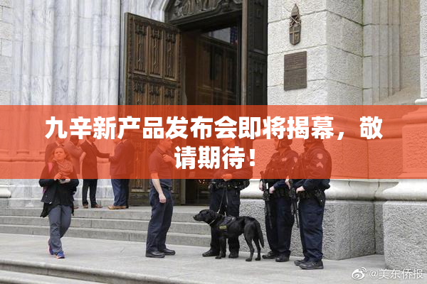 九辛新产品发布会即将揭幕，敬请期待！