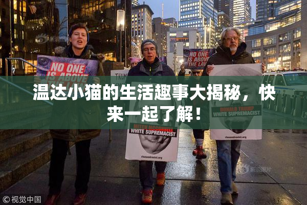 温达小猫的生活趣事大揭秘，快来一起了解！