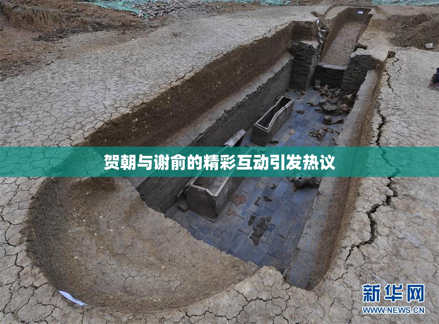 贺朝与谢俞的精彩互动引发热议