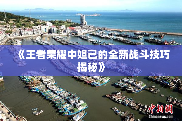 《王者荣耀中妲己的全新战斗技巧揭秘》