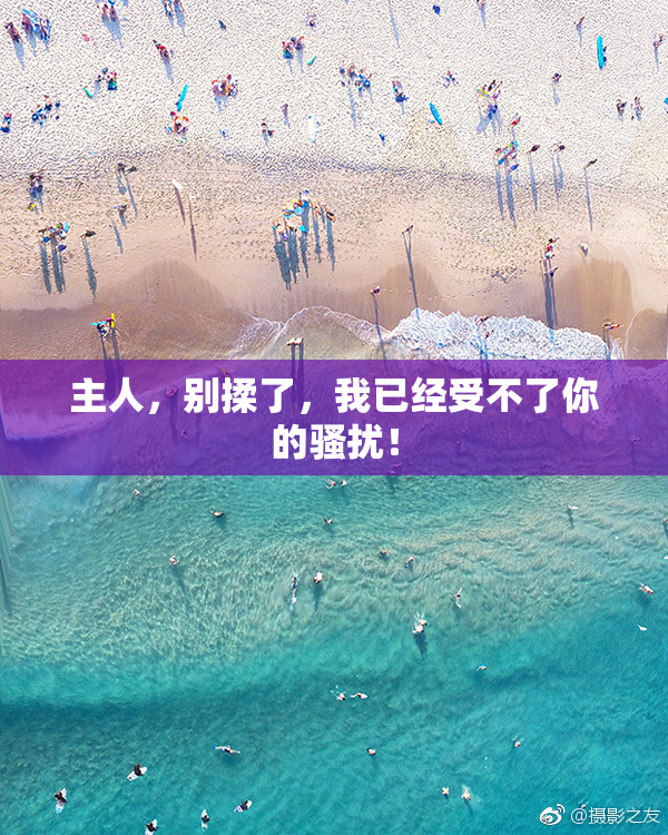 主人，别揉了，我已经受不了你的骚扰！