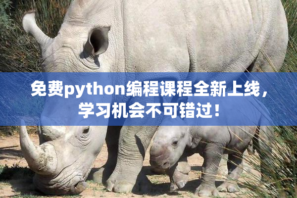免费python编程课程全新上线，学习机会不可错过！
