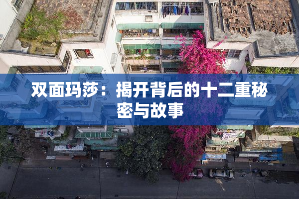 双面玛莎：揭开背后的十二重秘密与故事