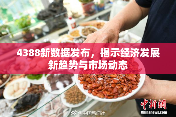4388新数据发布，揭示经济发展新趋势与市场动态