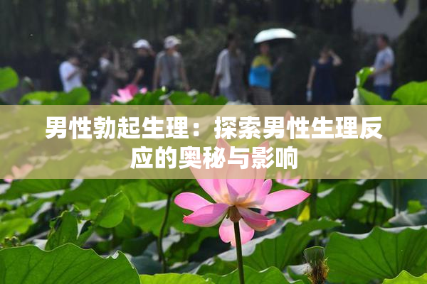男性勃起生理：探索男性生理反应的奥秘与影响