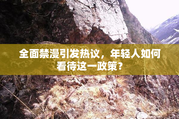 全面禁漫引发热议，年轻人如何看待这一政策？