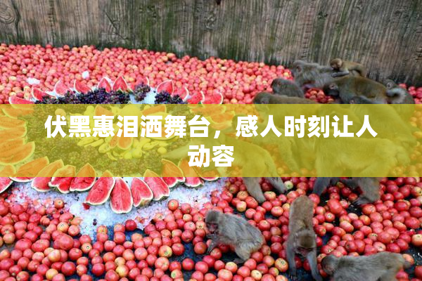 伏黑惠泪洒舞台，感人时刻让人动容