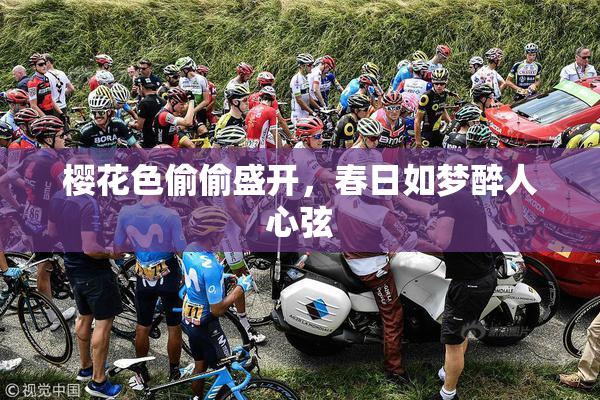 樱花色偷偷盛开，春日如梦醉人心弦