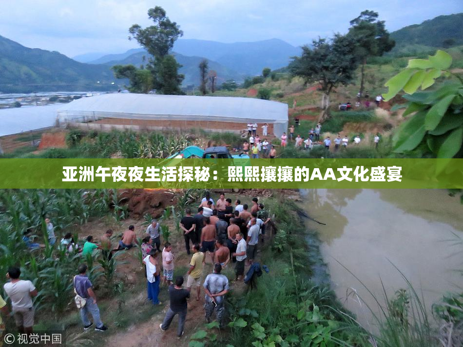 亚洲午夜夜生活探秘：熙熙攘攘的AA文化盛宴