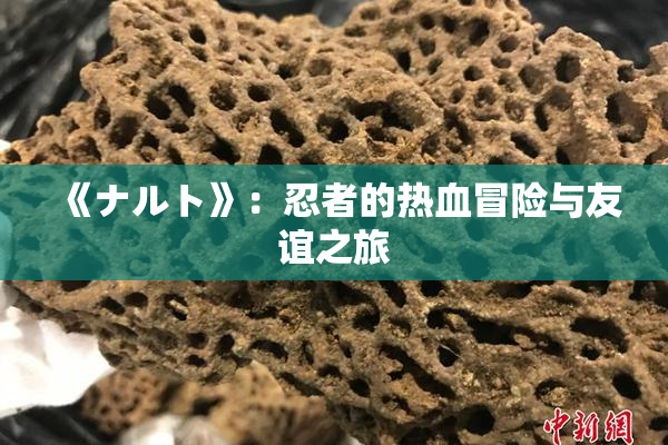 《ナルト》：忍者的热血冒险与友谊之旅