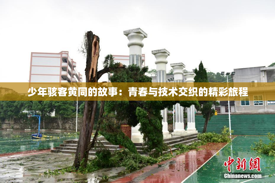 少年骇客黄同的故事：青春与技术交织的精彩旅程