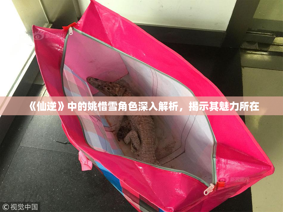 《仙逆》中的姚惜雪角色深入解析，揭示其魅力所在