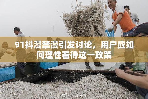 91抖漫禁漫引发讨论，用户应如何理性看待这一政策
