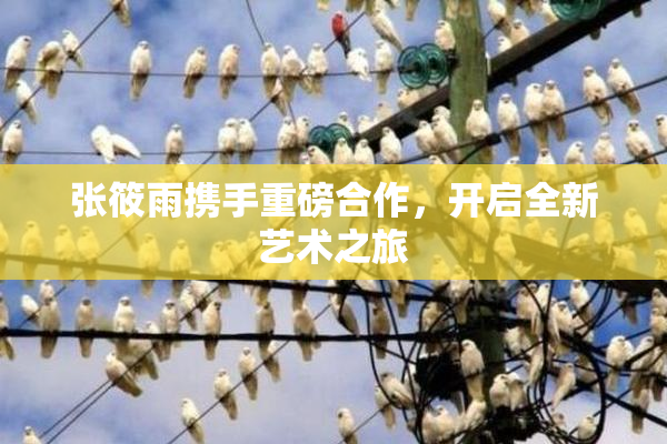 张筱雨携手重磅合作，开启全新艺术之旅
