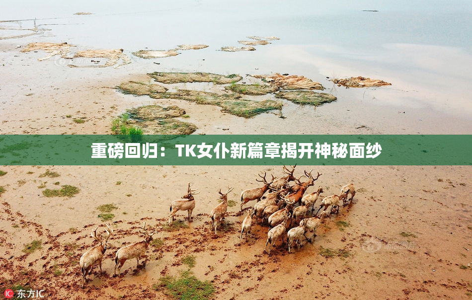 重磅回归：TK女仆新篇章揭开神秘面纱