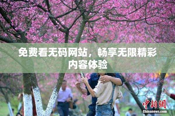 免费看无码网站，畅享无限精彩内容体验
