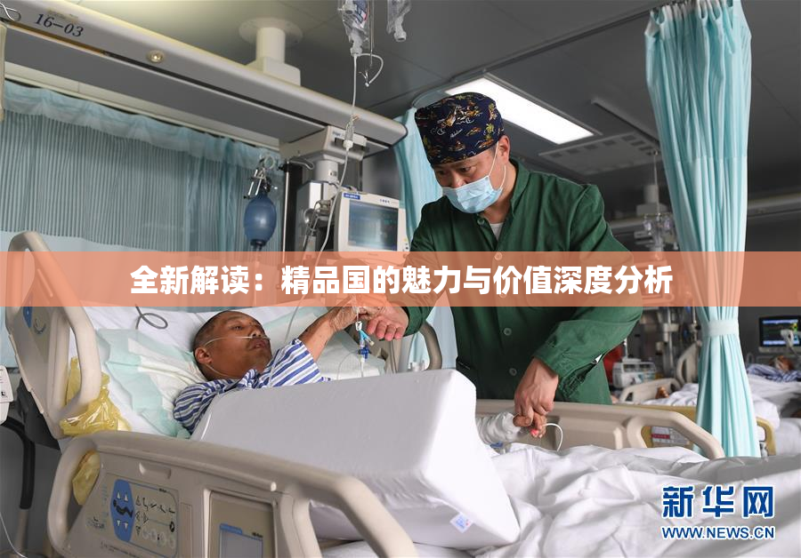全新解读：精品国的魅力与价值深度分析