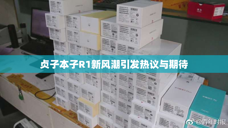 贞子本子R1新风潮引发热议与期待