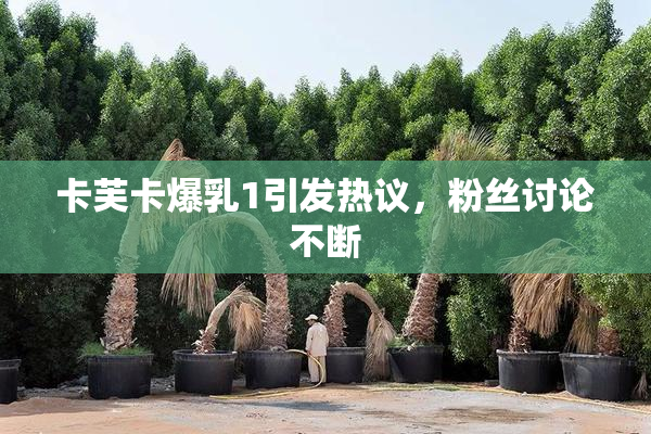 卡芙卡爆乳1引发热议，粉丝讨论不断