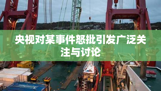 央视对某事件怒批引发广泛关注与讨论