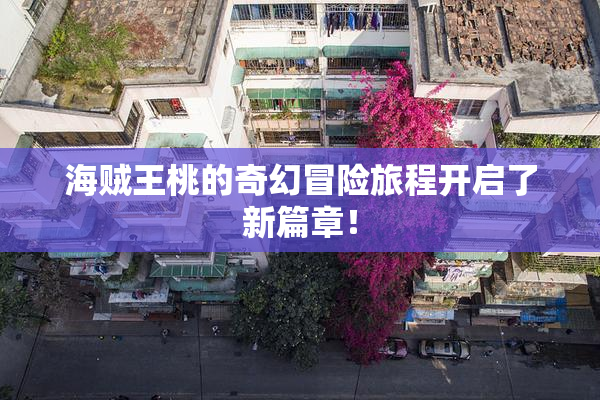 海贼王桃的奇幻冒险旅程开启了新篇章！