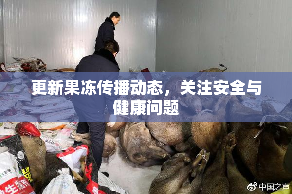 更新果冻传播动态，关注安全与健康问题