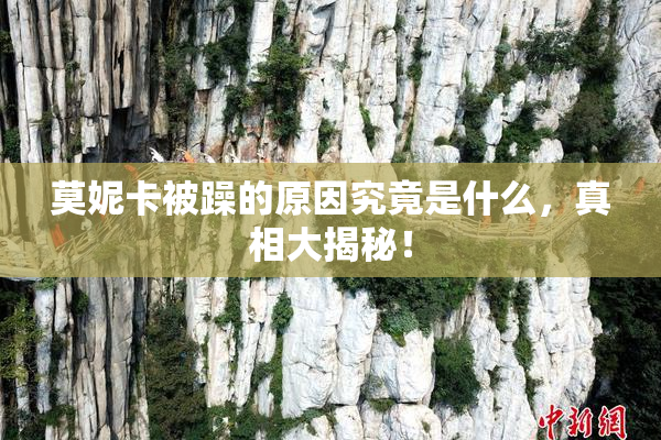 莫妮卡被躁的原因究竟是什么，真相大揭秘！