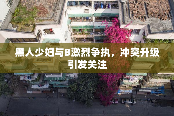 黑人少妇与B激烈争执，冲突升级引发关注