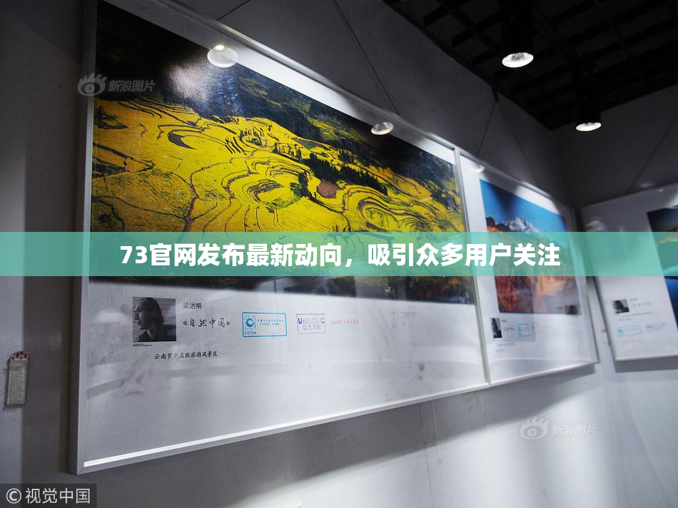 73官网发布最新动向，吸引众多用户关注