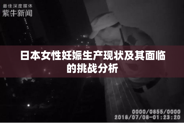 日本女性妊娠生产现状及其面临的挑战分析