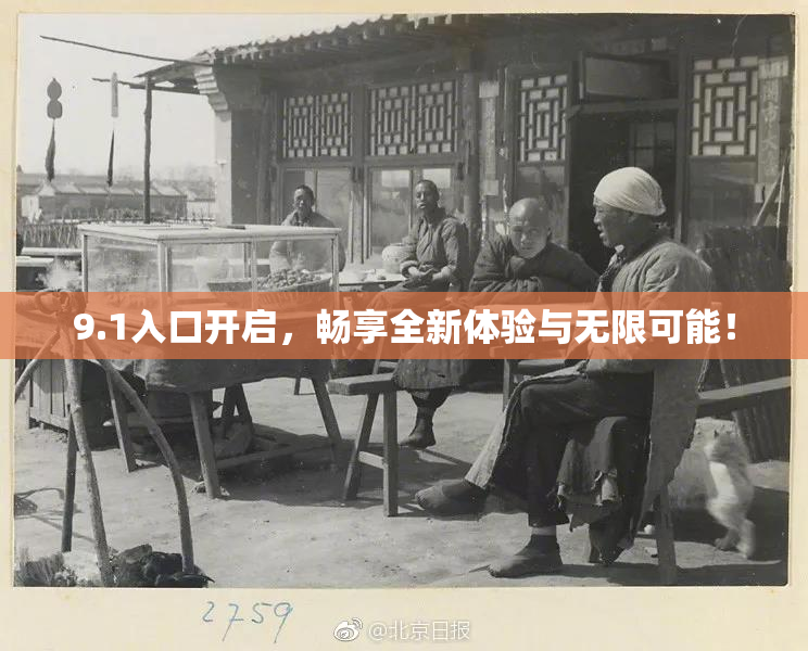 9.1入口开启，畅享全新体验与无限可能！