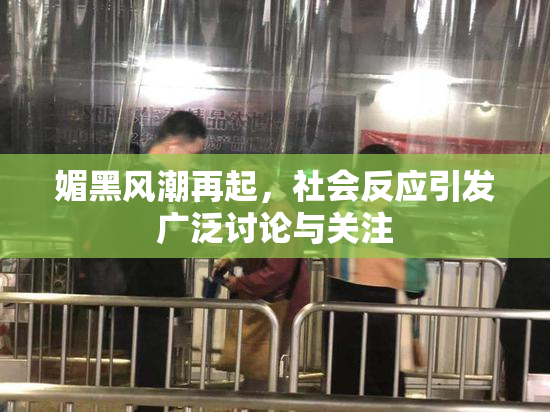 媚黑风潮再起，社会反应引发广泛讨论与关注