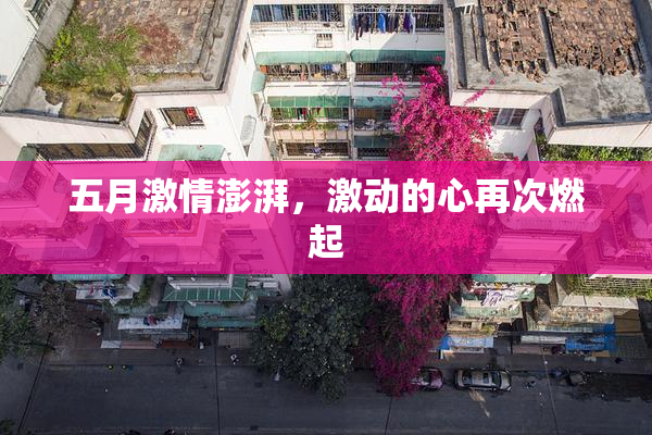 五月激情澎湃，激动的心再次燃起
