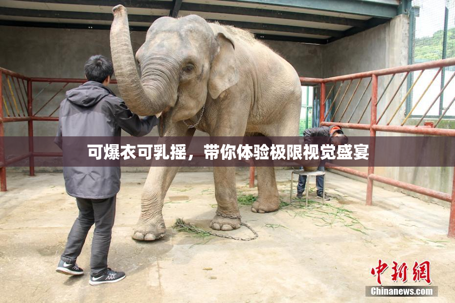 可爆衣可乳摇，带你体验极限视觉盛宴