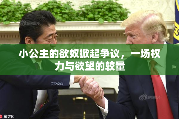 小公主的欲奴掀起争议，一场权力与欲望的较量