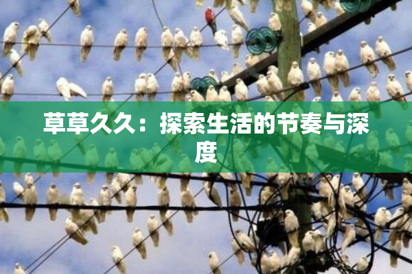 草草久久：探索生活的节奏与深度