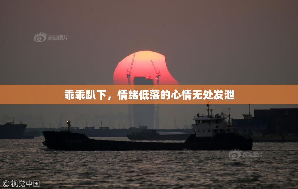 乖乖趴下，情绪低落的心情无处发泄