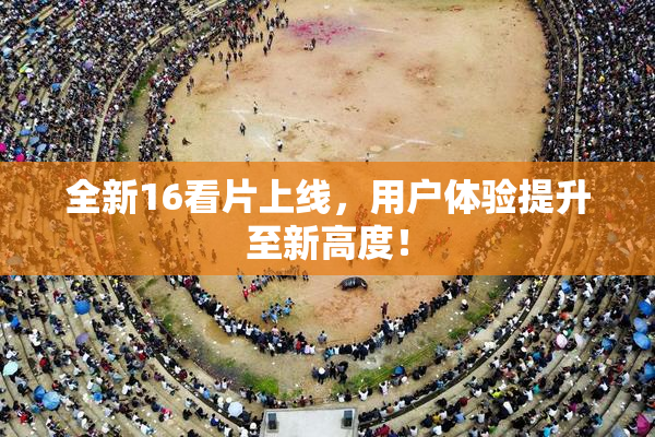 全新16看片上线，用户体验提升至新高度！