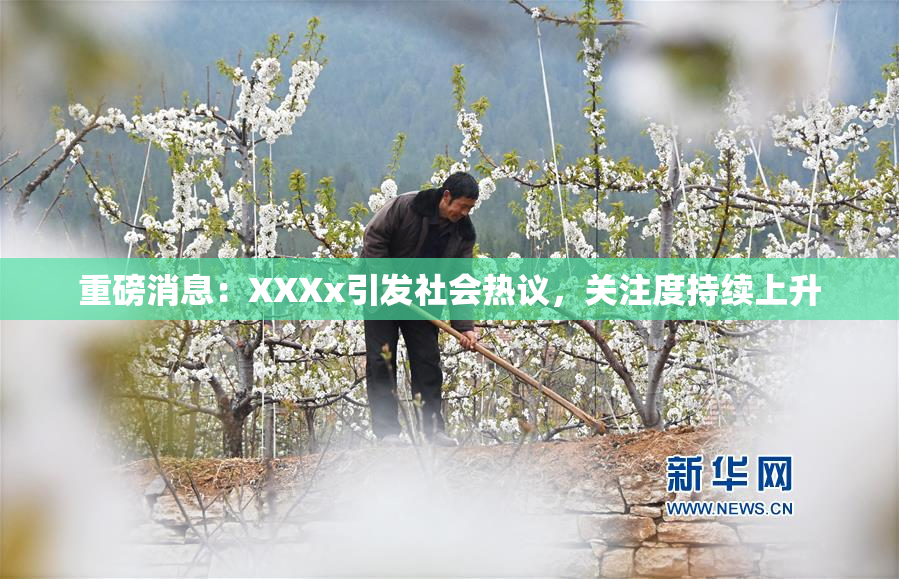 重磅消息：XXXx引发社会热议，关注度持续上升