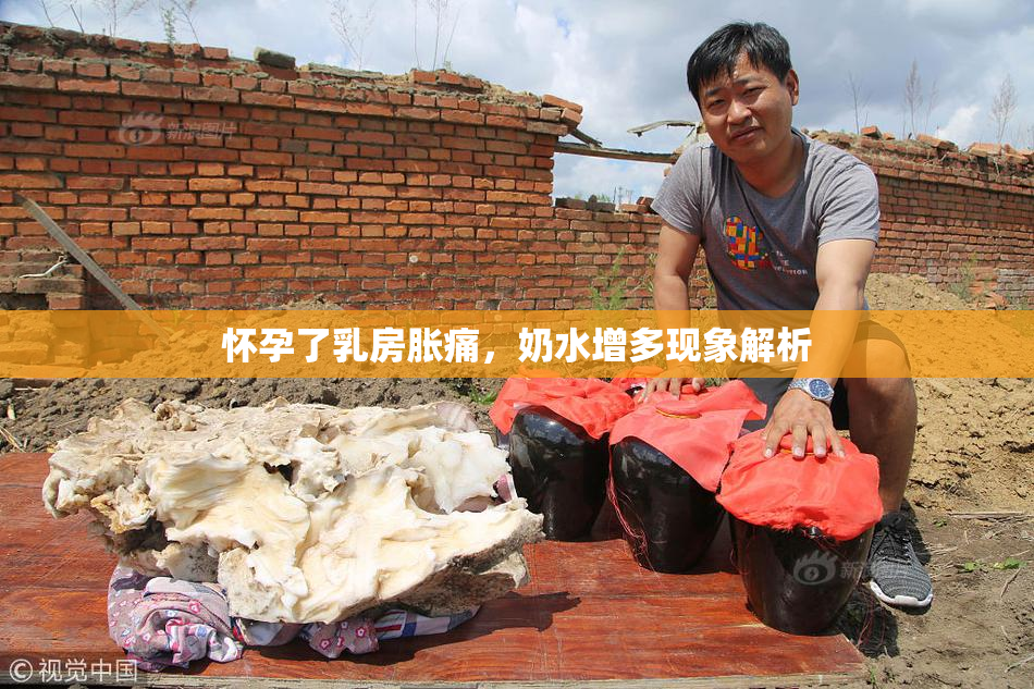 怀孕了乳房胀痛，奶水增多现象解析